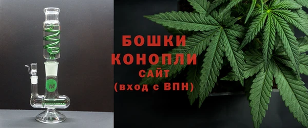 СК Инта