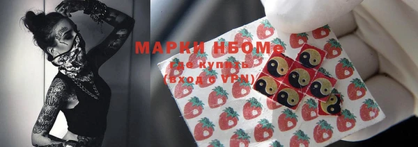 СК Инта