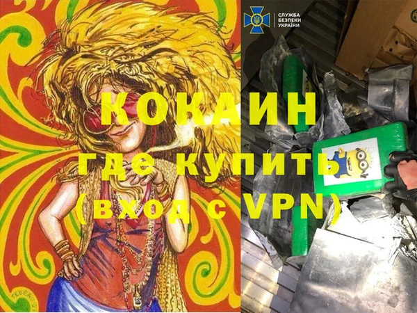 шишки Иннополис