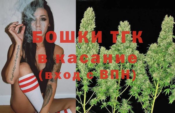 СК Инта