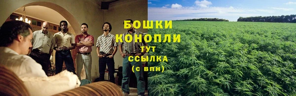 шишки Иннополис