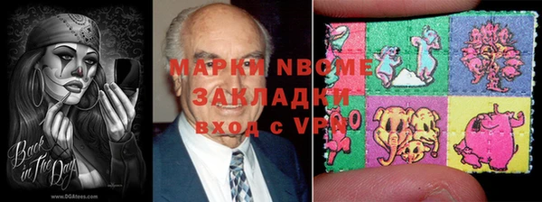 СК Инта
